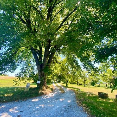 Gite De L'Edelinie Nanteuil-Auriac-de-Bourzac Exteriér fotografie