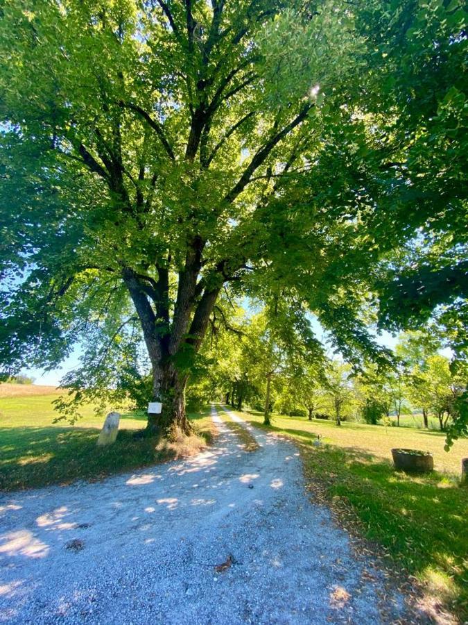 Gite De L'Edelinie Nanteuil-Auriac-de-Bourzac Exteriér fotografie